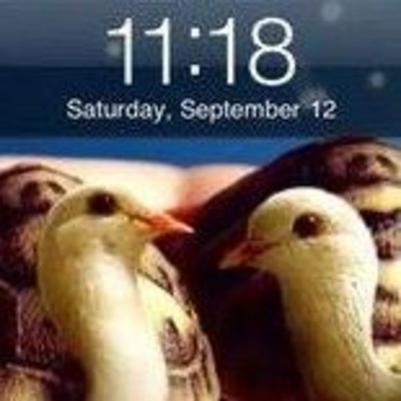 Meet your Posher, Linda - Picture 1 of 1